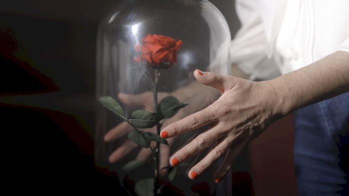 El Petit Princep, La Rosa
